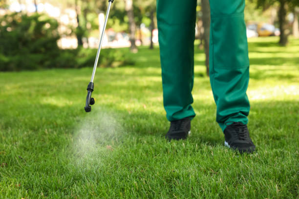 Best Mosquito Control Services  in Oak Grove, MN