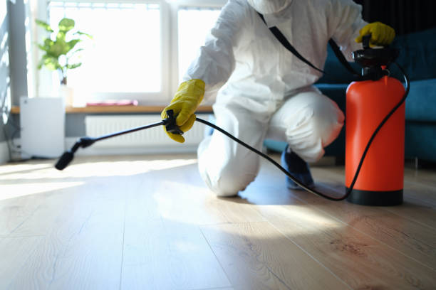 Flea Control Services in Oak Grove, MN