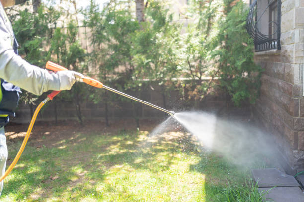 Best Pest Control Treatment  in Oak Grove, MN